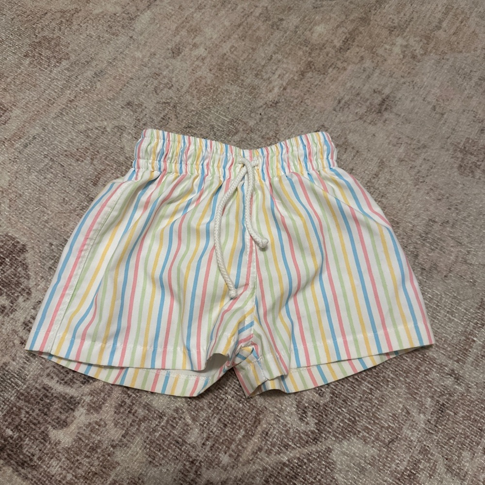 Striped Multicolor Shorts